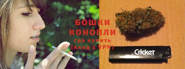 СК Богородск