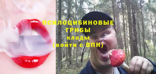 мескалин Богородицк