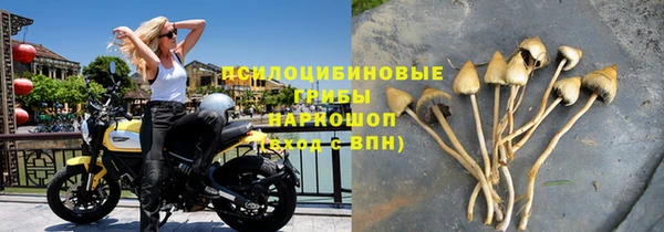амф Богданович