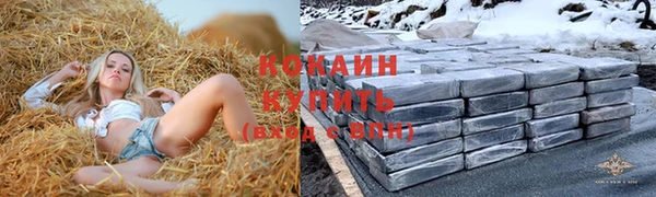 мескалин Богородицк