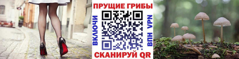 OMG вход Люберцы Галлюциногенные грибы мицелий цены наркотик